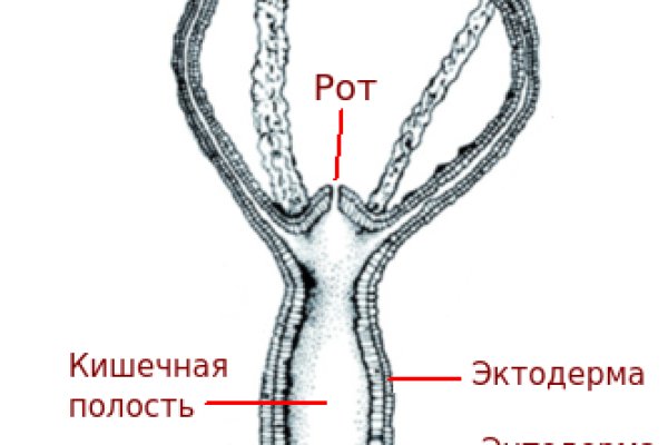 Кракен маркет зеркало