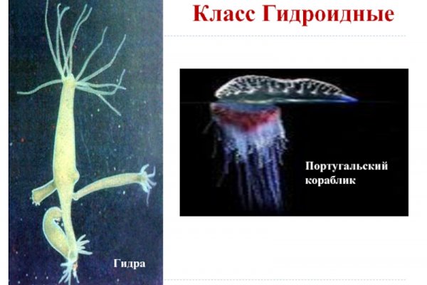 Кракен нарко шоп