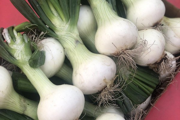 Кракен сайт продаж
